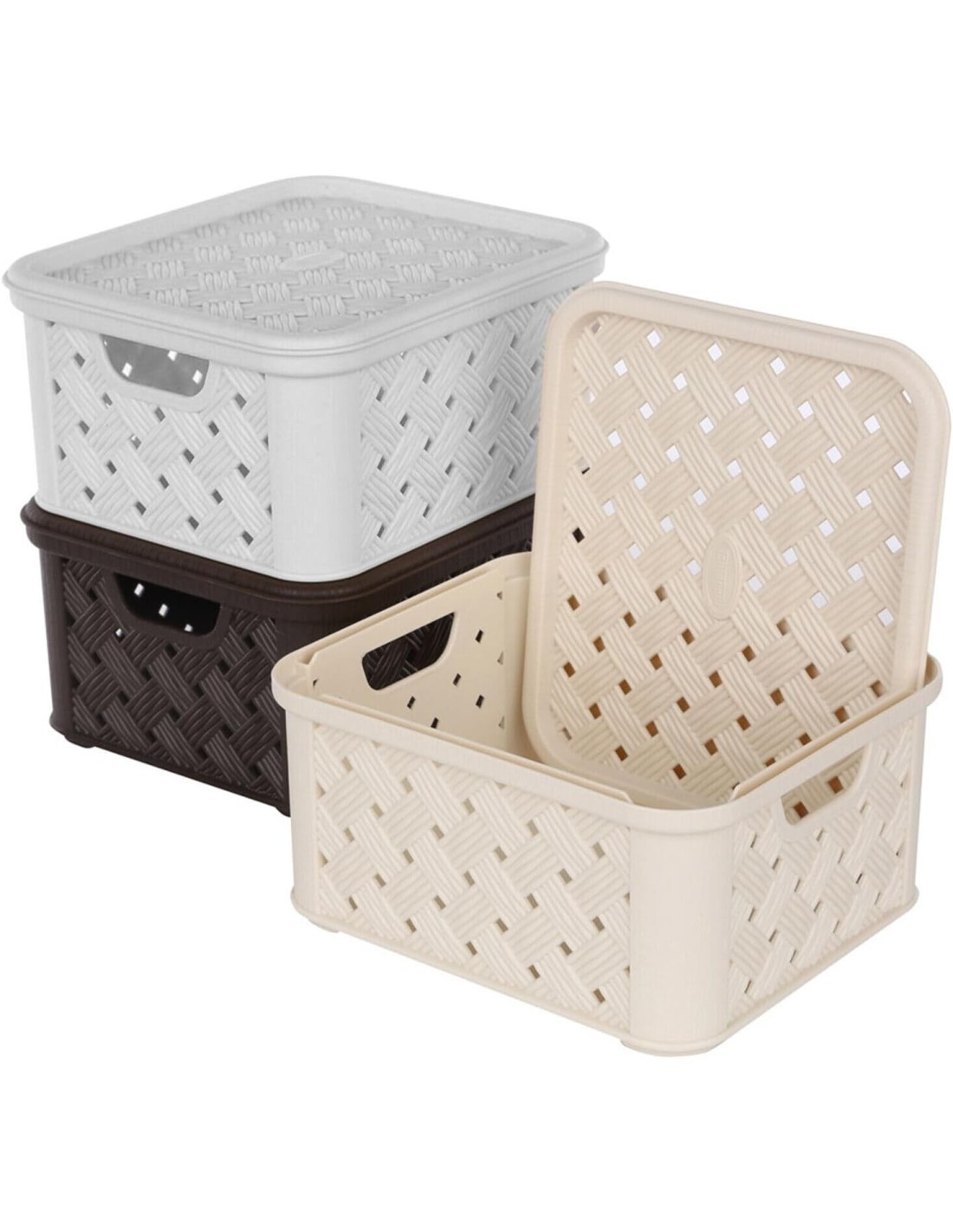 ARIANNA SCATOLA IN PLASTICA 4 LT ASSORTITO TONTARELLI su TreG Ingrosso