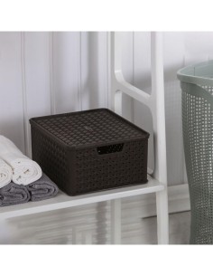 ARIANNA SCATOLA IN PLASTICA 4 LT ASSORTITO TONTARELLI su TreG Ingrosso