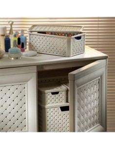 ARIANNA SCATOLA IN PLASTICA 4 LT ASSORTITO TONTARELLI su TreG Ingrosso