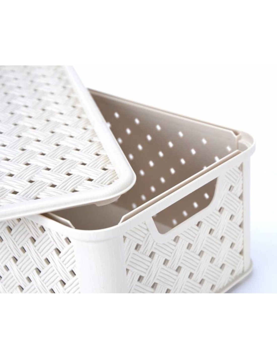 ARIANNA SCATOLA IN PLASTICA 4 LT ASSORTITO TONTARELLI su TreG Ingrosso