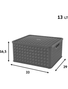 ARIANNA SCATOLA IN PLASTICA 13 LT ASSORTITO TONTARELLI su TreG Ingr...