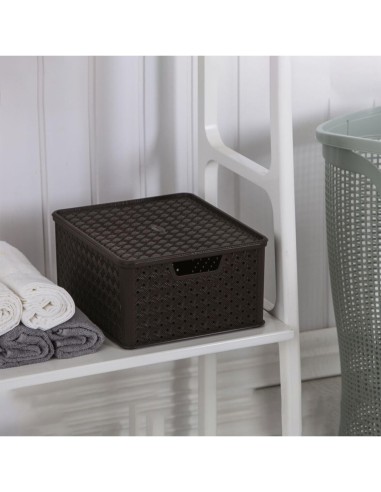 ARIANNA SCATOLA IN PLASTICA 13 LT ASSORTITO TONTARELLI su TreG Ingr...