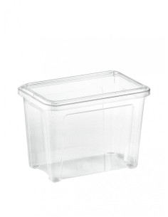 COMBI BOX SCATOLA IN PLASTICA 4,6 LT su TreG Ingrosso