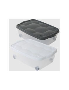 STORAGE BOX TARTARUGO COLORI ASSORTITI BELLI E FORTI su TreG Ingrosso