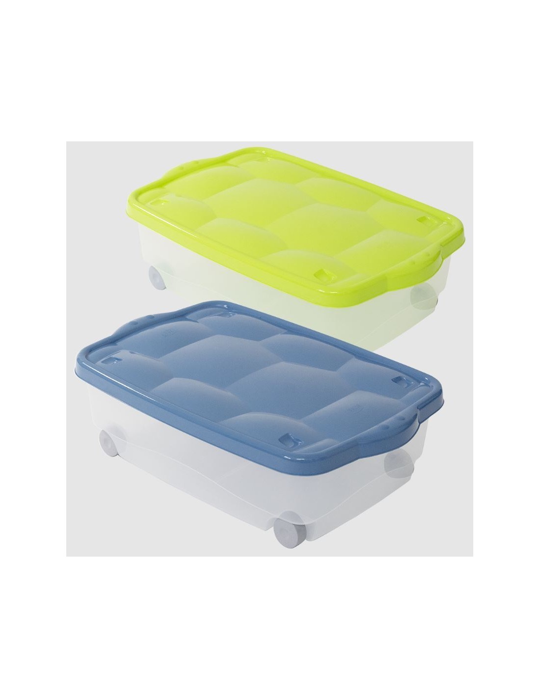 STORAGE BOX TARTARUGO COLORI ASSORTITI BELLI E FORTI su TreG Ingrosso