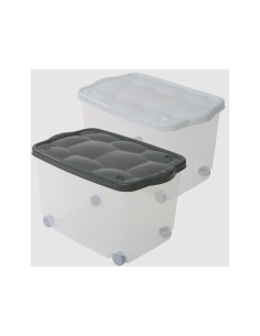 STORAGE BOX TARTARUGO BELLI E FORTI su TreG Ingrosso 2
