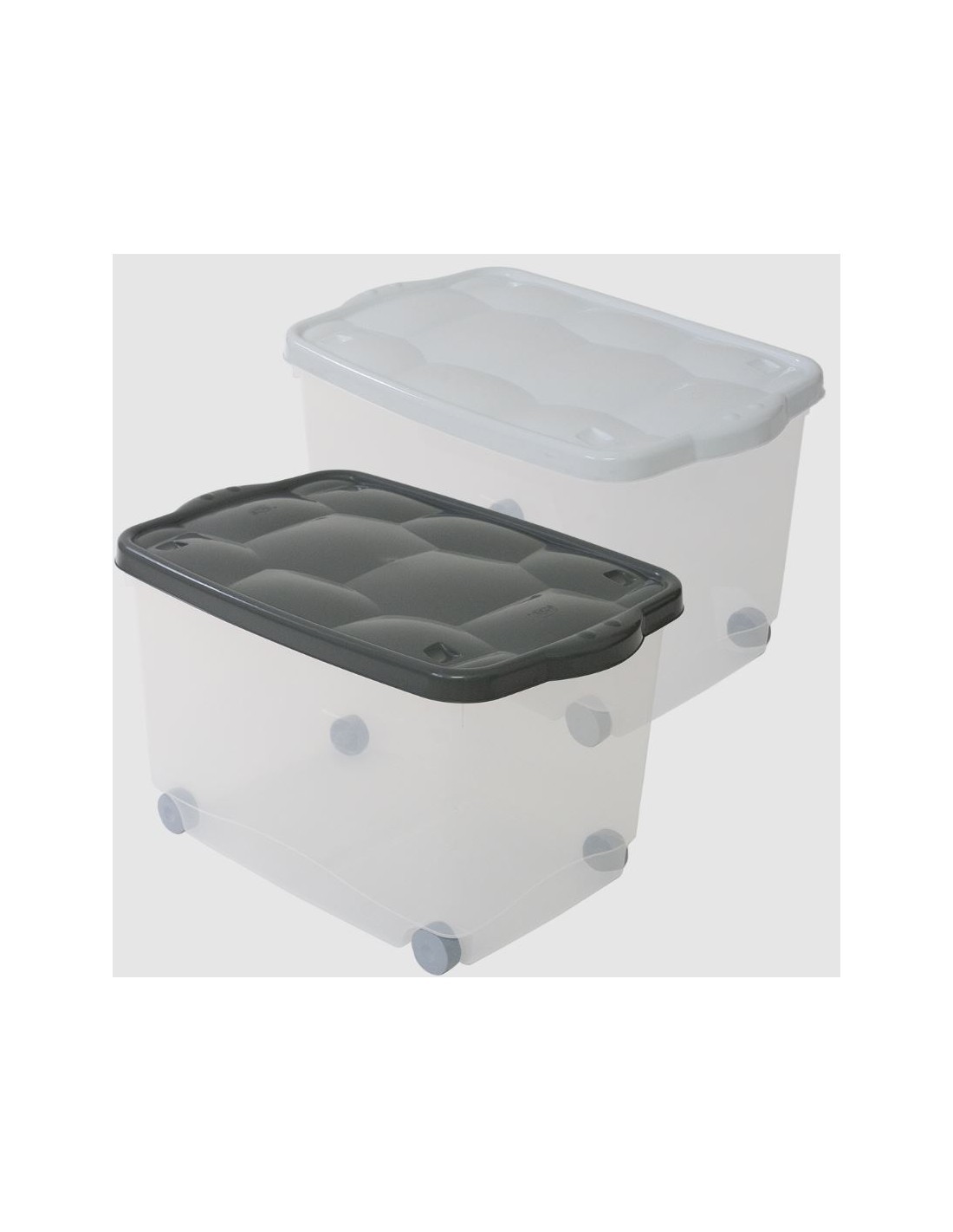 STORAGE BOX TARTARUGO BELLI E FORTI su TreG Ingrosso