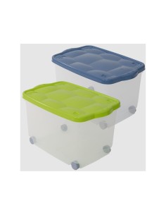 STORAGE BOX TARTARUGO BELLI E FORTI su TreG Ingrosso