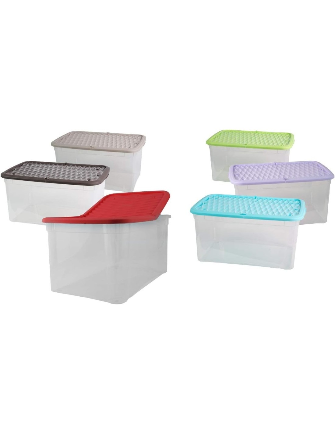 CONTENITORE BOX MAREA CON COPERCHIO BELLI E FORTI su TreG Ingrosso
