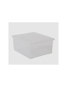 SPRING BOX CON COPERCHIO BELLI E FORTI su TreG Ingrosso