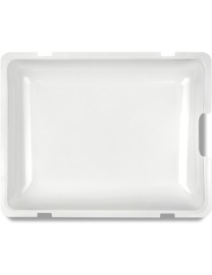 BISTECCHIERA G10024 G3FERRARI su TreG Ingrosso 2