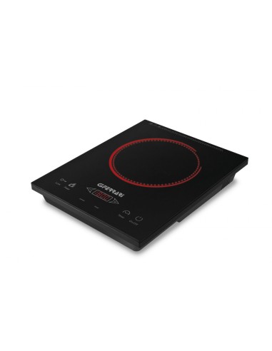 FORNELLO INDUZIONE 1800W CONTROLLI TOUCH G10061 G3FERRARI su TreG I...