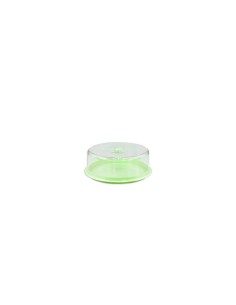 PORTATORTA MIMOSA CON COPERCHIO 28 CM su TreG Ingrosso