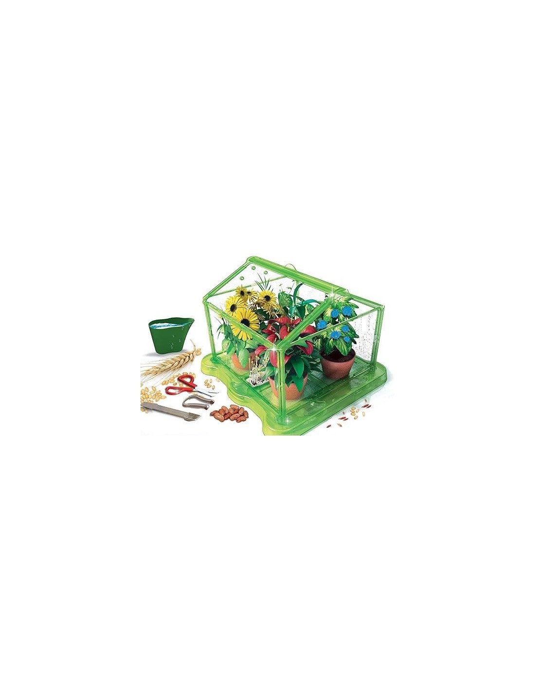 P/GENIO 84258 LABORATORIO BOTANICA su TreG Ingrosso