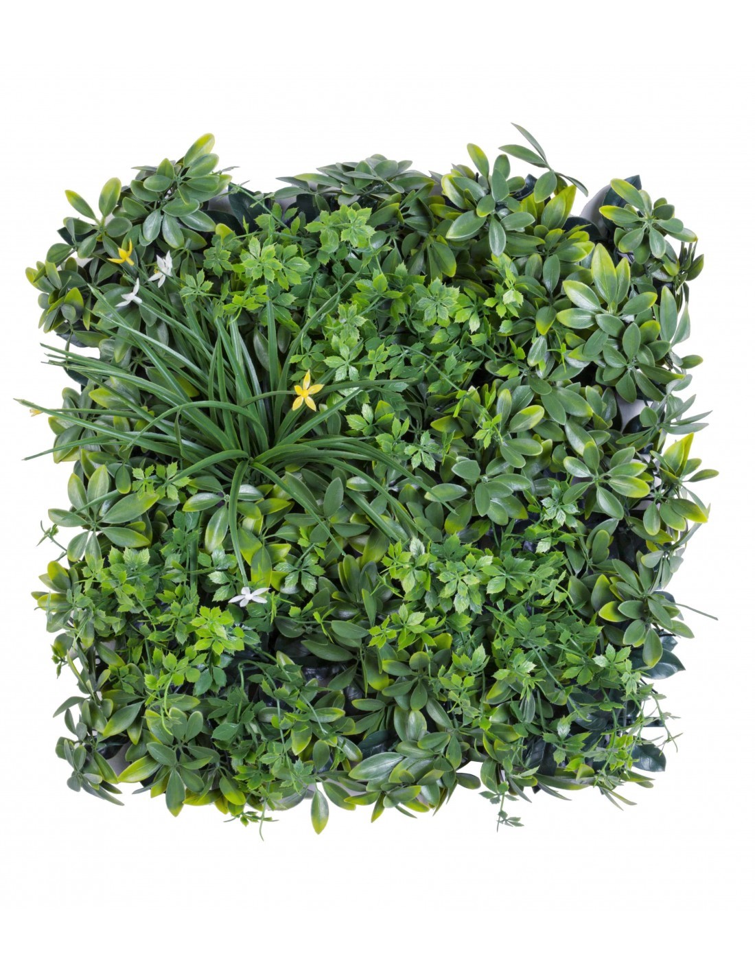 PARETE SINTETICA 0790421 VERDE NARCISO 50X50CM su TreG Ingrosso