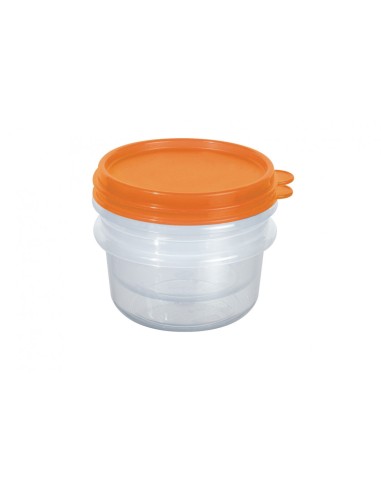 CONFEZIONE 2 MINIBOX SALVA AROMI 52 COSMOPLAST su TreG Ingrosso