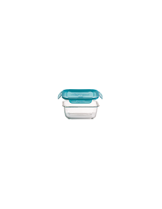 FRIGOVERRE EVOLUTION QUADRATO 14 X 14 CM BORMIOLI ROCCO su TreG Ing...
