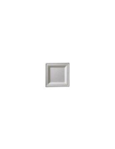 CONF 50 PIATTI Q2025 BIO 26X26CM su TreG Ingrosso