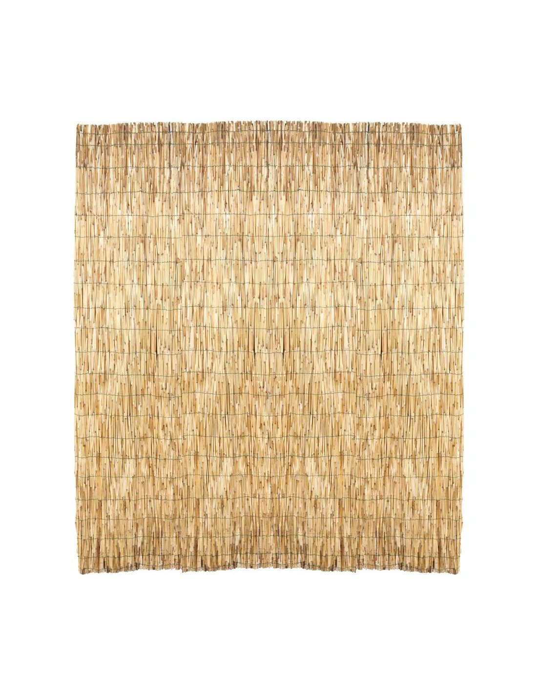 CANNICCIO ARELLA CON LEGATURA IN NYLON 150 X 300 su TreG Ingrosso