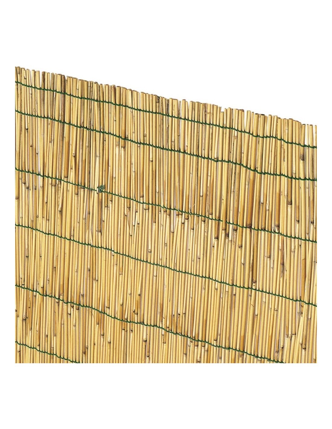 CANNICCIO ARELLA CON LEGATURA IN NYLON 150 X 300 su TreG Ingrosso