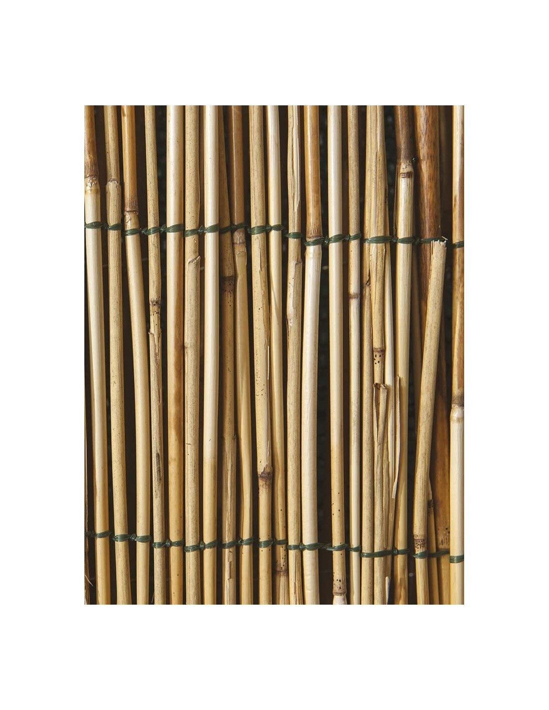 CANNICCIO ARELLA CON LEGATURA IN NYLON 150 X 300 su TreG Ingrosso