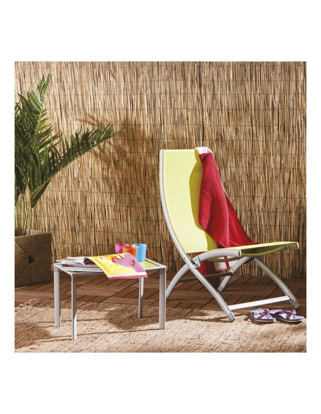 CANNICCIO ARELLA CON LEGATURA IN NYLON 150 X 300 su TreG Ingrosso