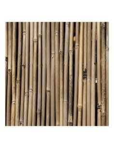 ARELLA RIVER 200 X 300 su TreG Ingrosso