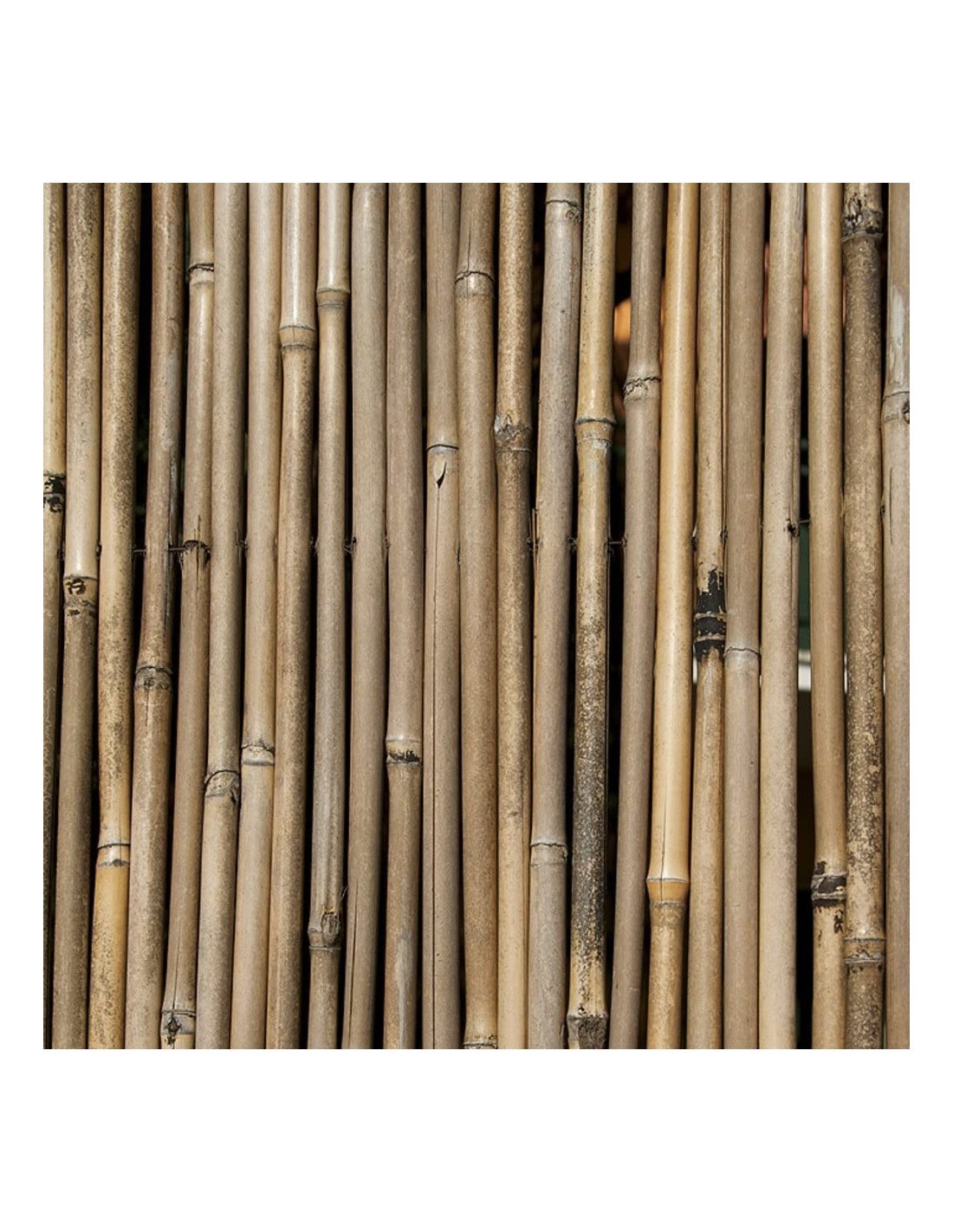 ARELLA RIVER 200 X 300 su TreG Ingrosso