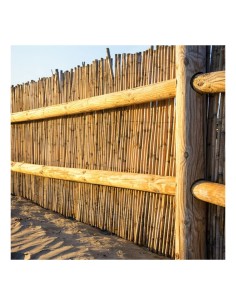 ARELLA RIVER 200 X 300 su TreG Ingrosso