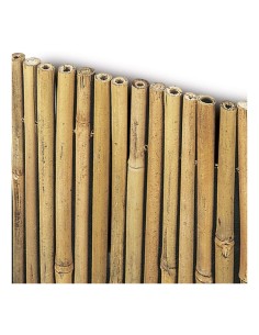 ARELLA RIVER 200 X 300 su TreG Ingrosso