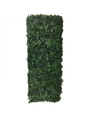 SIEPE ARTIFICIALE 100X50 ENGLISH SIMA100050 su TreG Ingrosso