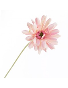 GERBERA 2292 ASSORT su TreG Ingrosso 2