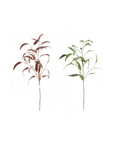 VARA EUCALYPTO 4502 GLOBULUS 100CM su TreG Ingrosso