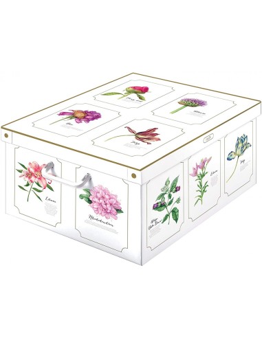 BAULETTO BOTANIC 39 X 50 X 24 su TreG Ingrosso