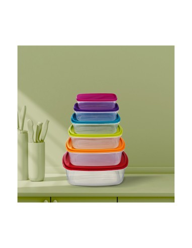 SET 6 CONTENITORI 120393 CON COPERHIO RETTANGOLARE su TreG Ingrosso