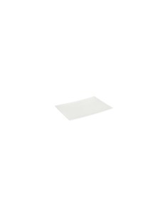 PIATTO 122722 TOKYO 28X20CM su TreG Ingrosso