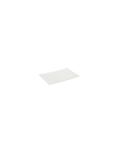 PIATTO 122722 TOKYO 28X20CM su TreG Ingrosso
