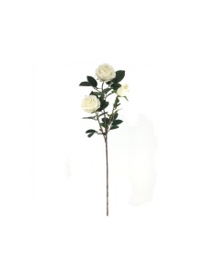 ROSA 4312 GLAMOUR su TreG Ingrosso