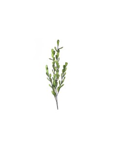 STELO 4 RAMI 107CM VERDE su TreG Ingrosso