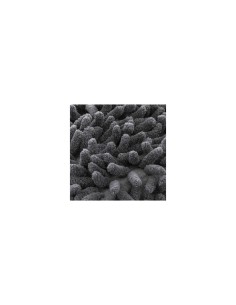 MOP CON MANICO TELESCOPICO 117149 su TreG Ingrosso