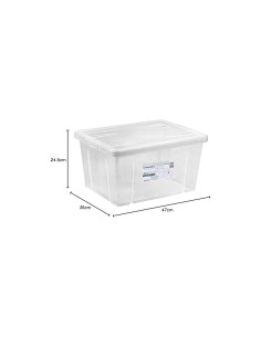 BOX 4321 29L CON COPERCHIO TRASPARENTE su TreG Ingrosso 2
