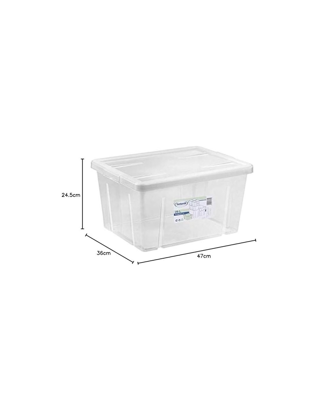 BOX 4321 29L CON COPERCHIO TRASPARENTE su TreG Ingrosso