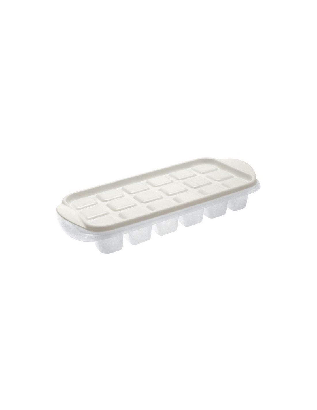 FORMAGHIACCIO 0949 VASCHETTA C/COPERCHIO su TreG Ingrosso