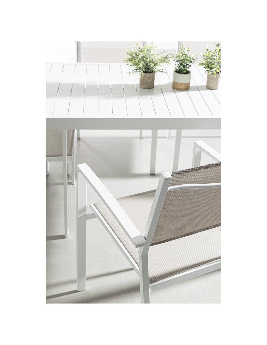POLTRONA 0662912 HILDE BIANCO CLOUD su TreG Ingrosso
