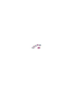 RETINA X LUME PC 1507/28071 su TreG Ingrosso 2