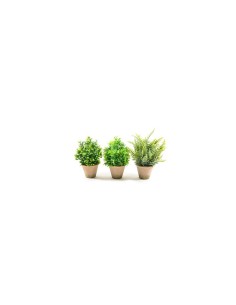 PIANTA VERDE IN VASO DI COCCIO 30X13X13CM su TreG Ingrosso