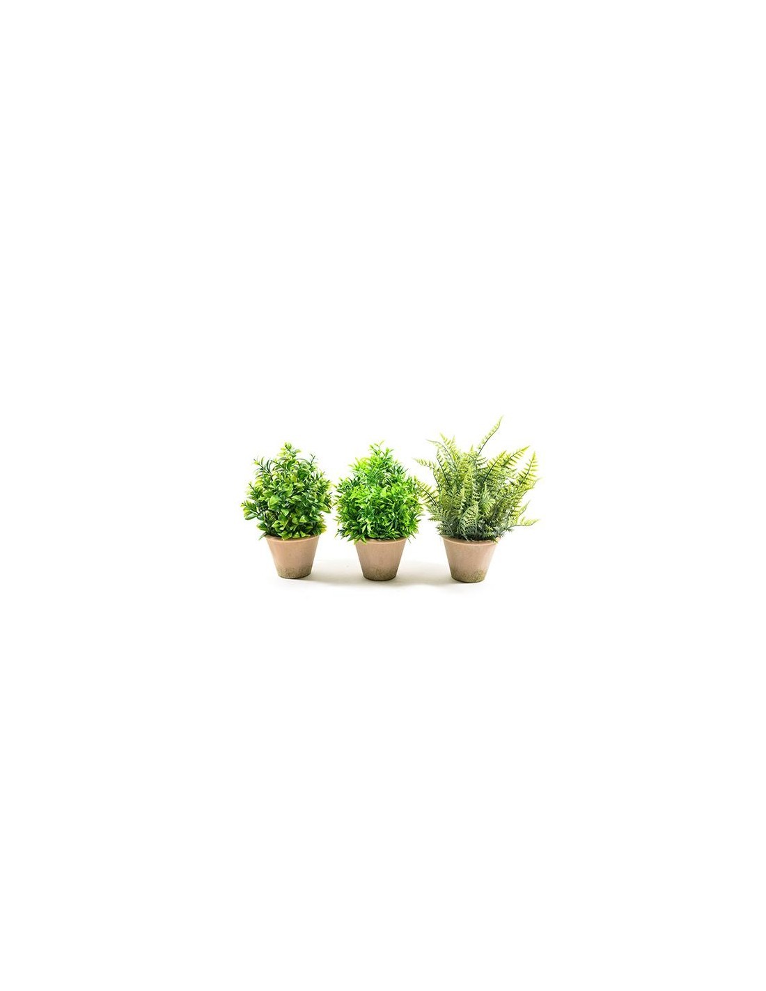 PIANTA VERDE IN VASO DI COCCIO 30X13X13CM su TreG Ingrosso