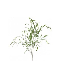 SALICE 1564-09 VERDE su TreG Ingrosso