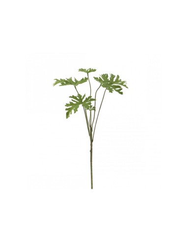 SPLIT SELLOUM 1566-09 VERDE su TreG Ingrosso