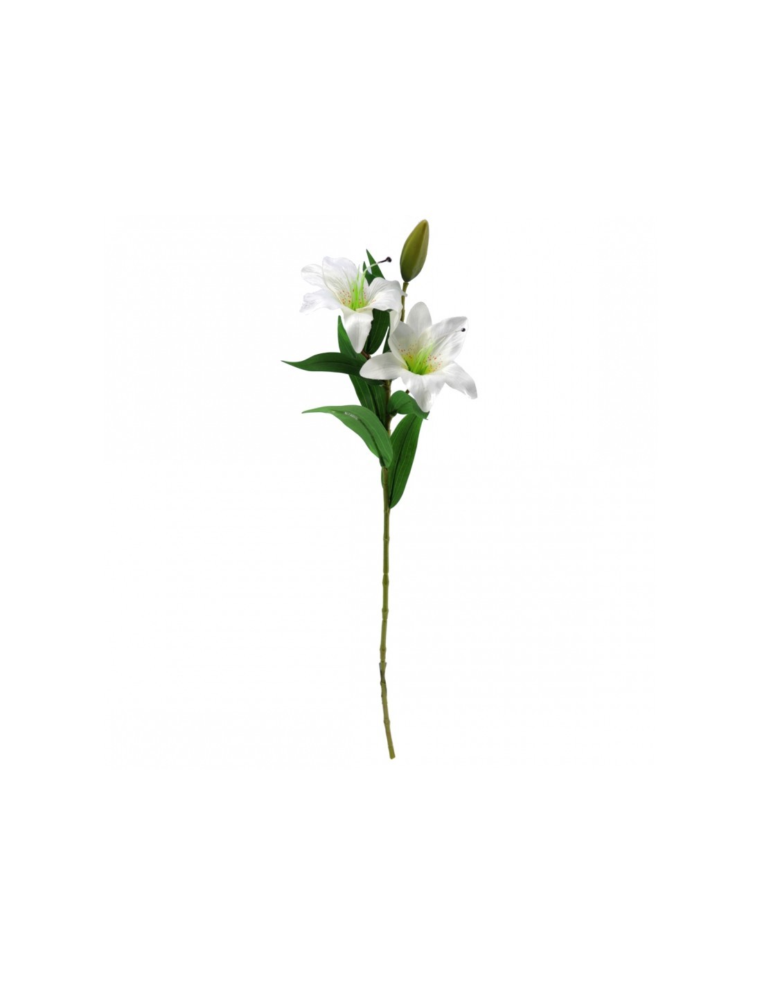LILIUM 2410 ASSORT su TreG Ingrosso